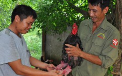 Clip: Siêu trang trại la liệt con đặc sản siêu "độc" ở Ninh Bình