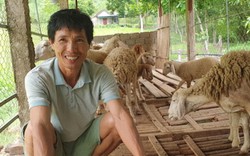 LẠ: Đánh liều nuôi con rậm lông trên đất Phủ Quỳ, bán 200 ngàn/kg