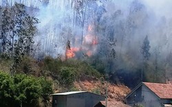 Cháy dữ dội 3ha rừng trồng, uy hiếp nhiều nhà dân ở Bình Định