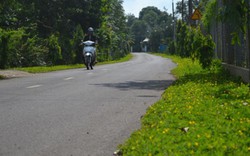 Xây dựng NTM ở Đồng Nai: Cán bộ đi đầu, xóm làng đua theo