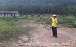 Quảng Ninh: Rừng phòng hộ bị “hô biến” thành đất trồng cây lâu năm