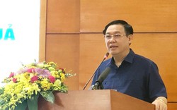 Phó TTg Vương Đình Huệ: Cho phá sản công ty nông lâm nghiệp yếu kém