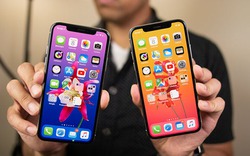 iPhone 2019 chưa ra, Apple đã tìm cách giảm chi phí cho iPhone 2020