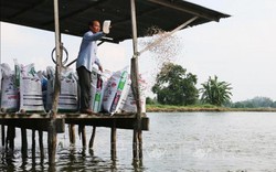 Chuyện lạ An Giang: Nuôi cá tra kiếm tiền tỷ, mua xe cứu thương, lo cho dân nghèo