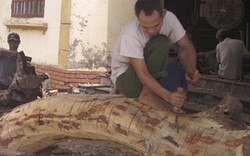 Hà Nội: Số phận lô gỗ sưa trăm tỷ thôn Phụ Chính sắp được định đoạt