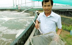 Tiên phong nuôi tôm hồ nổi quy trình ưu việt, thu 20 tỷ ở Bạc Liêu