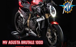 Siêu mô tô MV Agusta Brutale 1000RR và  Brutale 1000RC sắp ra mắt, tay đua "háo hức" chờ đợi