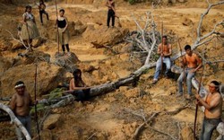Bộ lạc nguyên thủy quyết bảo vệ rừng Amazon đến “giọt máu cuối cùng”