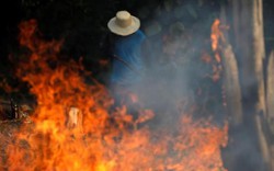 Cháy rừng Amazon: "Quả bom carbon ngày tận thế" giáng xuống Trái đất