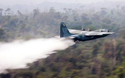Xem chiến đấu cơ Hercules của Brazil dội "bom nước" dập cháy rừng Amazon