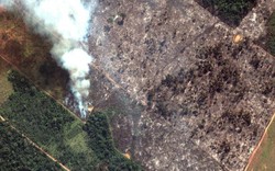 Những sự thật về cháy rừng Amazon