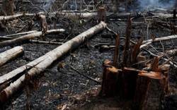 Quy định phòng, chữa cháy rừng: Văn bản nhiều nhưng hiệu quả bao nhiêu?