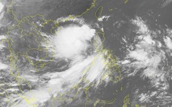Bản tin trưa 28/8 về bão số 4: Bão cách Hoàng Sa 550km, giật cấp 10