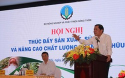 Thừa trăm triệu tấn phân, chất thải mà vẫn dùng hóa chất bón ruộng