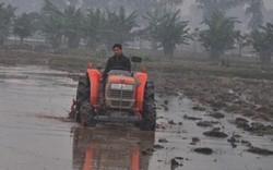 Hà Nội chuyển đổi hiệu quả 40.000ha đất nông nghiệp