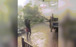 Ảnh-clip: Sấm sét, lốc xoáy kinh hoàng nhổ bật gốc cây trên phố Hà Nội