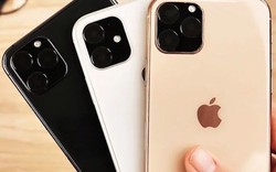 Dân buôn iPhone xách tay “ngồi trên đống lửa” trước giờ iPhone 11 trình làng