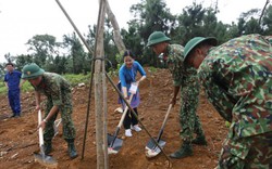 50 năm thực hiện di chúc Hồ Chí Minh: 300 đại biểu trồng cây xanh tại Khu di tích K9