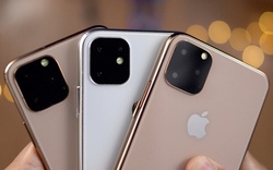 Rộ tin đồn về ngày bán ra iPhone 11, iFan "lót dép" chờ đợi