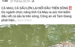 Đăng tin cá sấu nổi trên sông lên Facebook để câu like