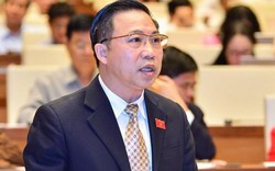 ĐB Lưu Bình Nhưỡng: DN sợ kiện vì đối diện tham nhũng “Vô phúc đáo tụng đình”
