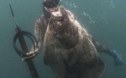 Thợ lặn câu được thủy quái có kích thước siêu to, khổng lồ ở Mỹ