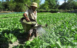 10 năm nông thôn Quảng Nam “đón gió mới”