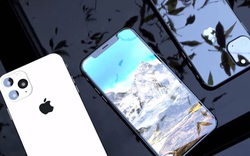 Ba “anh em” iPhone 11 sẽ có gì giống và khác nhau?