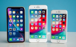 Apple không dám làm càn với bộ ba iPhone 2019