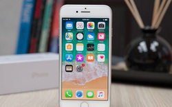 iPhone SE 2 năm sau sẽ là bản sao của iPhone 8