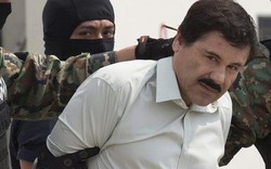 Số tiền khổng lồ 12,6 tỷ USD của trùm ma túy khét tiếng El Chapo sẽ ra sao?
