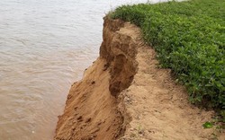 Khai thác cát gây “thiệt hại”, Tập đoàn Phúc Lộc phải bồi thường tiền tỷ