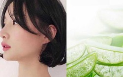 Nước gạo, lô hội dưỡng tóc tơ mềm mại như dưỡng ở salon