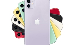 Đã có giá iPhone 11 dự kiến tại Việt Nam, từ 21,99 triệu đồng