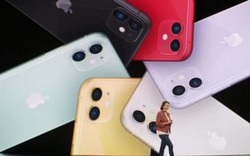 iPhone 11 đầu tiên có mặt tại Việt Nam ngày 1/11 sẽ có giá từ 21,99 - 43,99 triệu đồng?