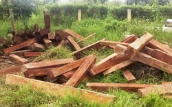 Gia Lai: Bị phát hiện, lâm tặc bỏ 94 lóng gỗ thoát thân           
