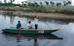 Xôn xao thông tin cá sấu "khủng" xuất hiện trên sông 