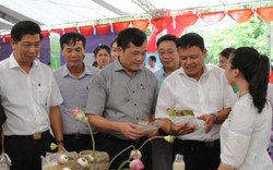 Ảnh: Dân Hà Nội háo hức đi "chợ" nông sản ứng dụng công nghệ mới