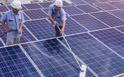 TP.HCM kiến nghị người dân đầu tư, sử dụng điện mặt trời