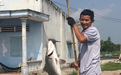 Nông dân Việt Nam xuất sắc 2019: Từ tay trắng đến “vua” tôm, cá