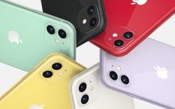 iPhone 11 dưới góc nhìn chuyên gia và nhà phân tích