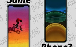 Có nên nâng cấp iPhone XR lên iPhone 11 không?