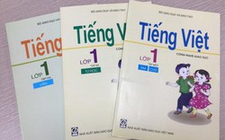 Vì sao sách giáo khoa "tròn - vuông - tam giác" của GS.Hồ Ngọc Đại bị trượt từ vòng 1?