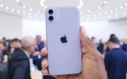 9 lý do để mua iPhone 11 thay vì cặp "anh em" iPhone 11 Pro