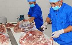 Hà Nội: Chăn nuôi lợn sinh học “sống khỏe” giữa bão dịch tả