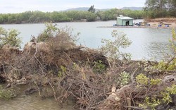 Bình Định:Tỉnh yêu cầu làm rõ trách nhiệm vụ hút cát đầm Thị Nại