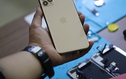 Chưa lên kệ, iPhone 11 Pro Max đã bị "mổ bụng" tại Việt Nam