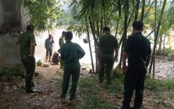 Tìm thấy thi thể cháu bé 6 tuổi mất tích ở Nghệ An