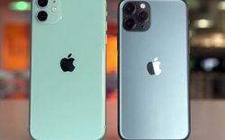 Không chỉ "ngon", iPhone 11 và iPhone 11 Pro còn thân thiện môi trường