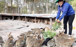 Đang từ nghèo rớt mồng tơi, làm cách này, dân trở nên giàu có